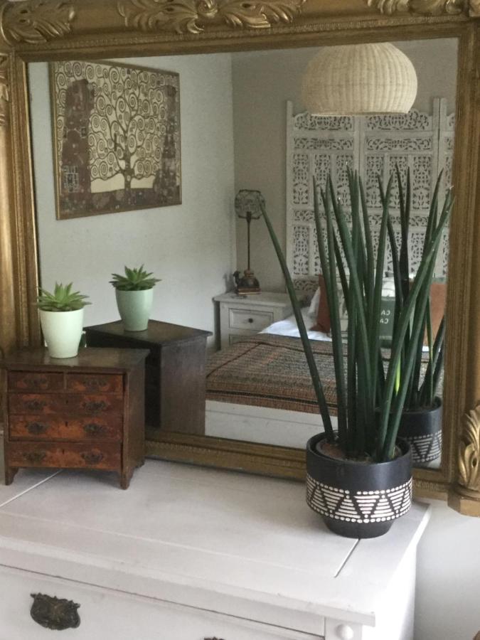 Bambu Cottage New Quay Zewnętrze zdjęcie