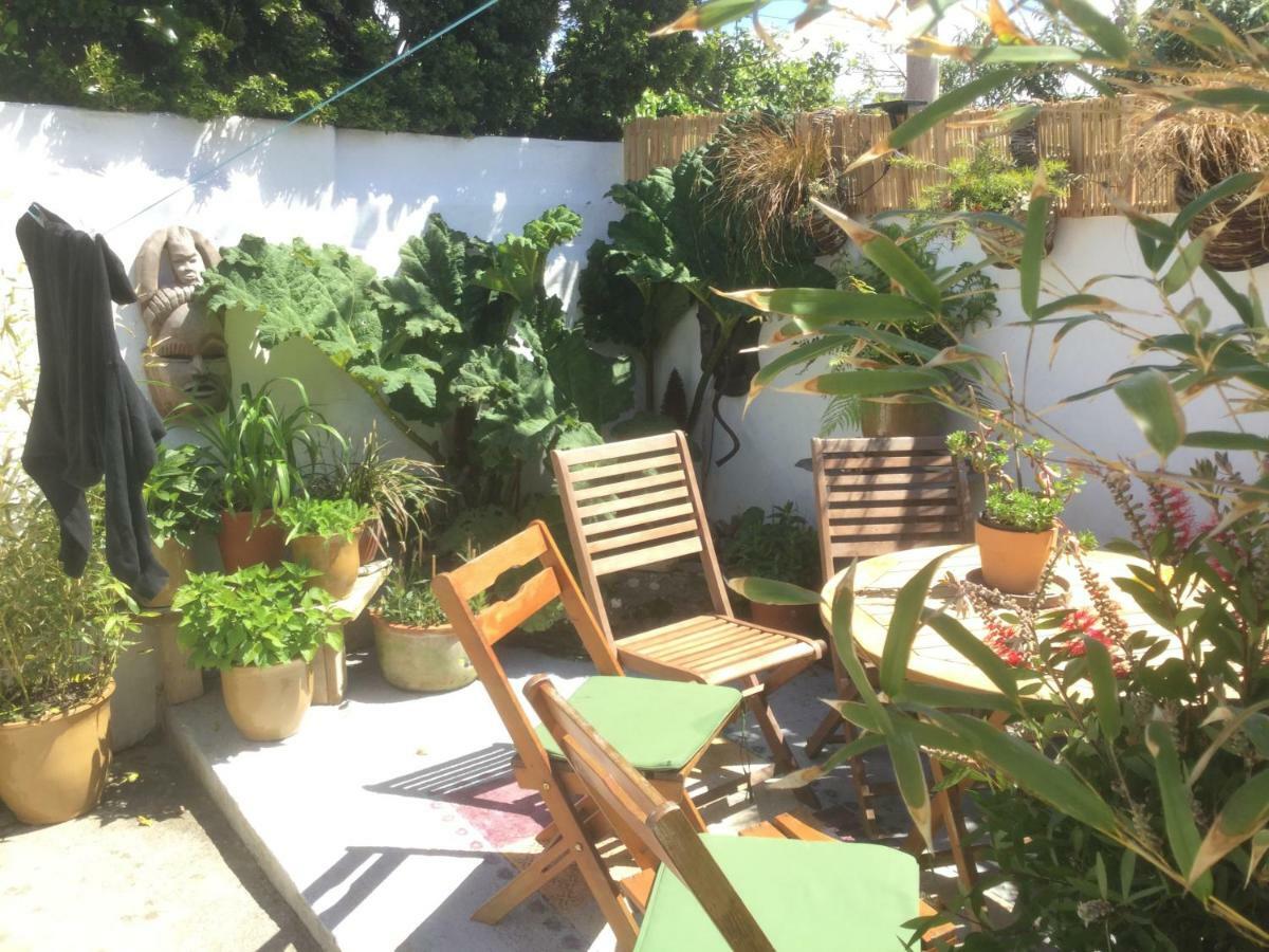 Bambu Cottage New Quay Zewnętrze zdjęcie