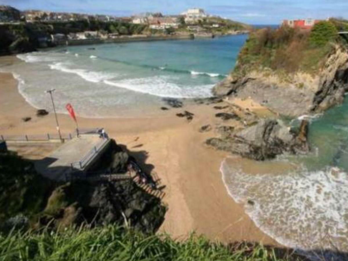 Bambu Cottage New Quay Zewnętrze zdjęcie
