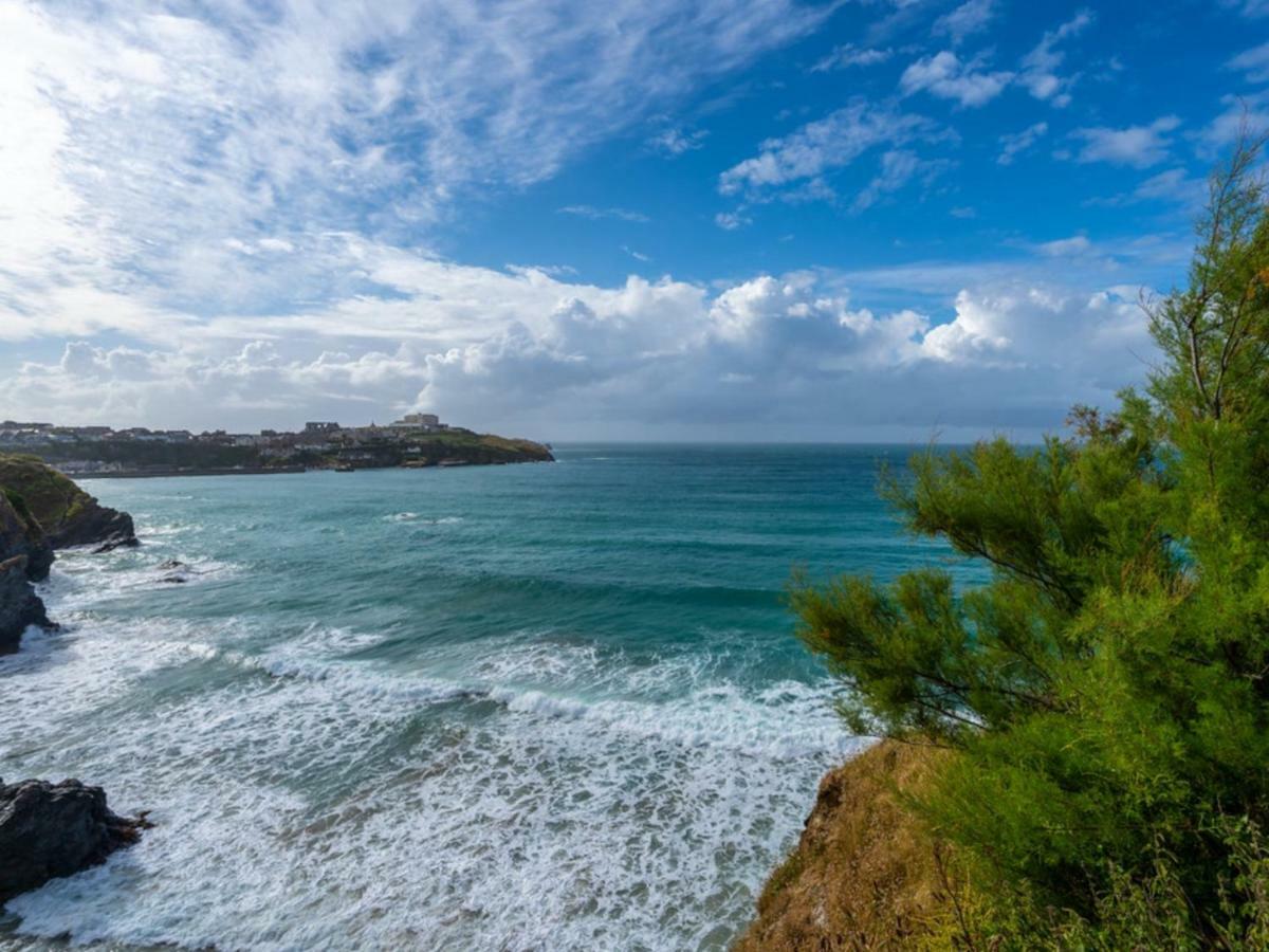 Bambu Cottage New Quay Zewnętrze zdjęcie